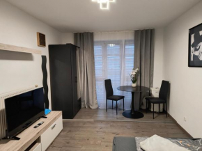 Apartment Regensburg City
